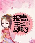 报告王爷王妃又跑了