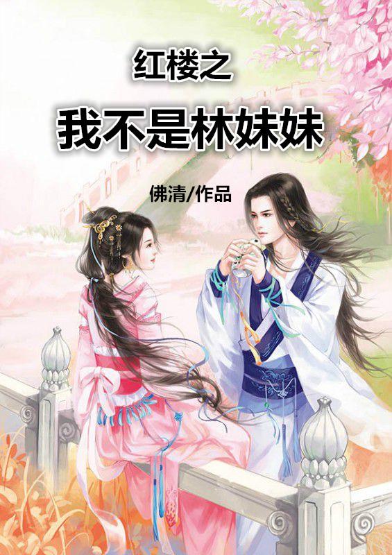 红楼之我不是贾政