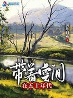 重生艰苦年代