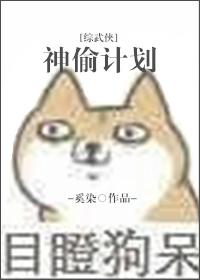 综武盗神系统