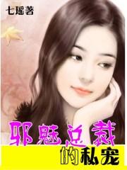 邪魅总裁的娇宠完整版