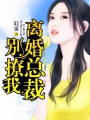 离婚总裁作品大全