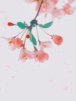 将军是女的