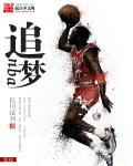 篮球系统排行榜完本
