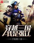 主角是张辽的
