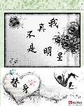 我真不是明星笔趣阁免费阅读全文