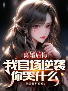 权力巅峰从妻子背叛离婚开始叶枫