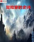 冒险家实力