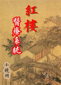 红楼医疗系统txt