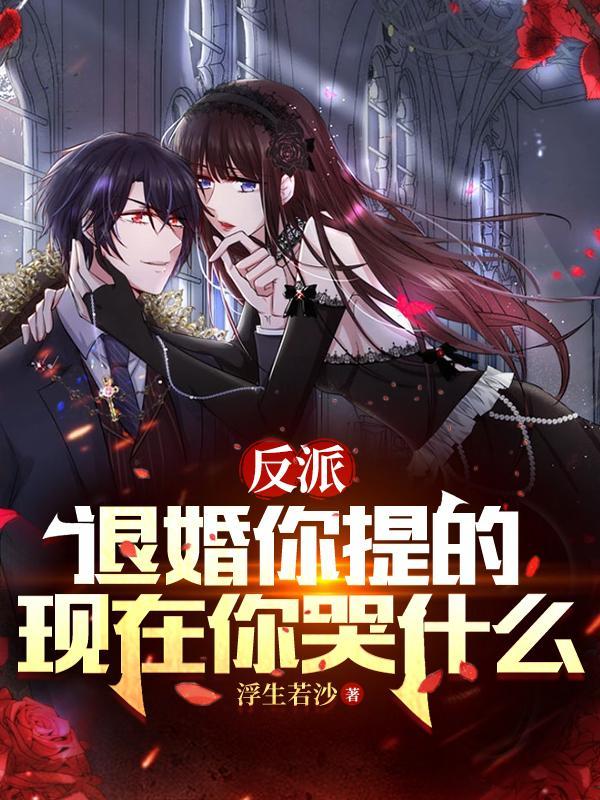 苏宇完结版