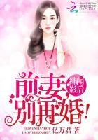 别再婚全文免费阅读
