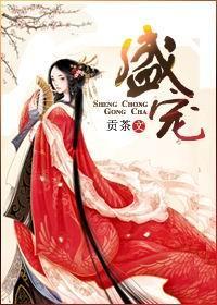 盛宠卫窈窈