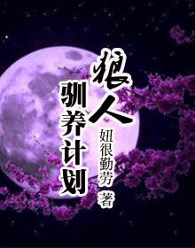 狼人计划技巧