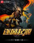 逐风者是什么角色