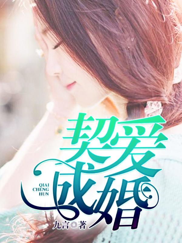 契婚完结版免费阅读