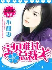 总裁宝贝小小妈