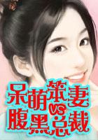 呆萌小逃妻