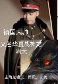 镇国大将军的儿子叫什么