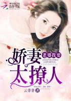 老婆大人我错了t