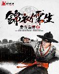 锦衣儒圣