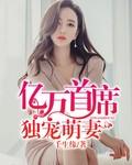 亿万首席宠妻狂魔