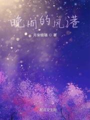夜晚的风很美