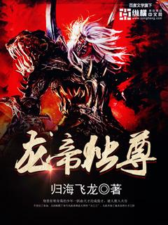 龙帝至尊阅读全文陆鸣