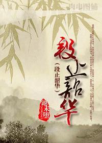 类似段止韶华的