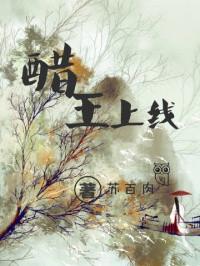 醋王上线十六