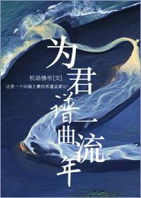 为君谱一曲流年歌词