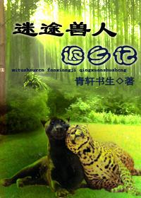 迷途返途