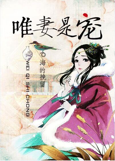 唯妻是宠 海的挽留晋江