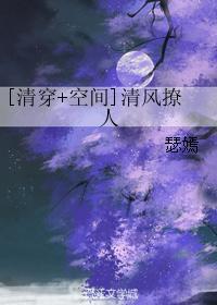 清风蝶舞清穿