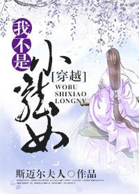 我不是小龙女(穿越)/作者斯迈尔夫人
