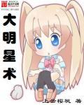 大明星啥意思