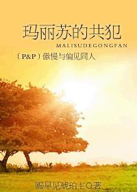 傲慢与偏见是玛丽苏