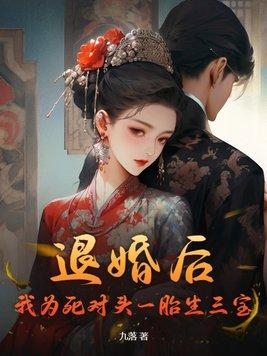 退婚后嫁给了死对头作者