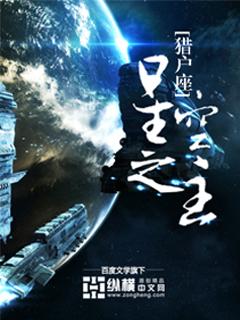 霍格沃兹雷古勒斯星空之主