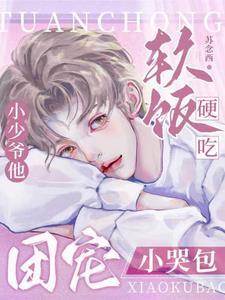团宠小少爷文推荐