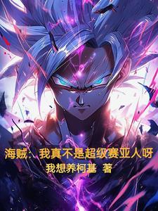 海贼之我真不是海军