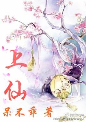 上仙杀码2025最新一期杀码