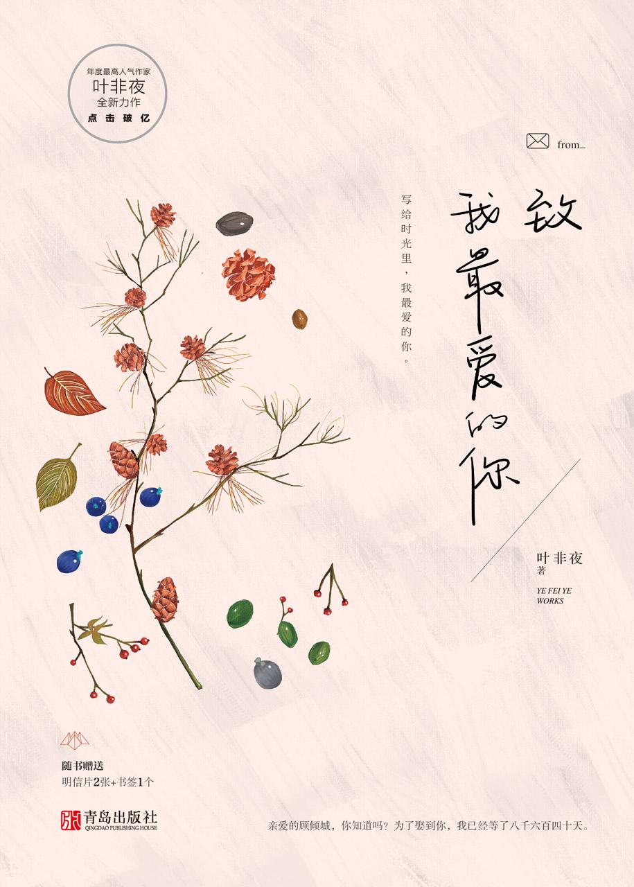 致我最爱的你讲了什么