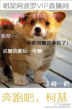 奔跑吧兄弟柯岩第几期