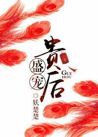 盛宠皇贵妃晋江