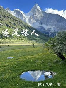 逐风者的职业介绍