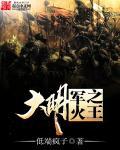 大明之极品军火库全文阅读
