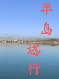 半岛小行星无弹窗全本