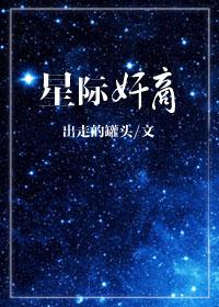 星际jbr