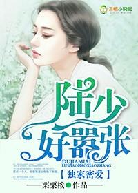 独家秘婚陆少的心尖宠妻