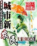城市农民